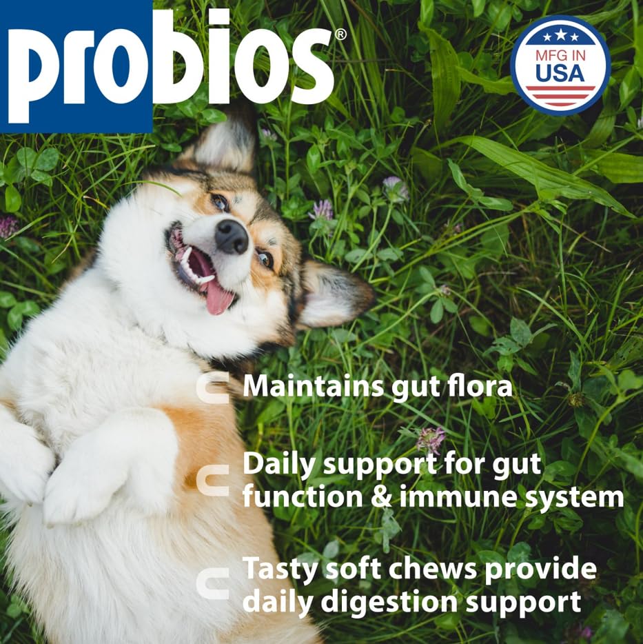 Probios friandise gros plan renforçant appétence foie de poulet pour chien
