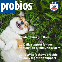 Probios friandise gros plan renforçant appétence foie de poulet pour chien
