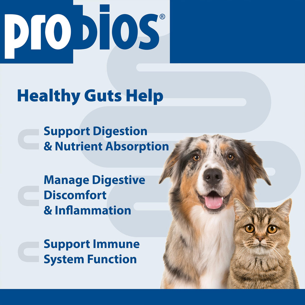Probios Probiocin gel texture gros plan appétent pour acceptation facile