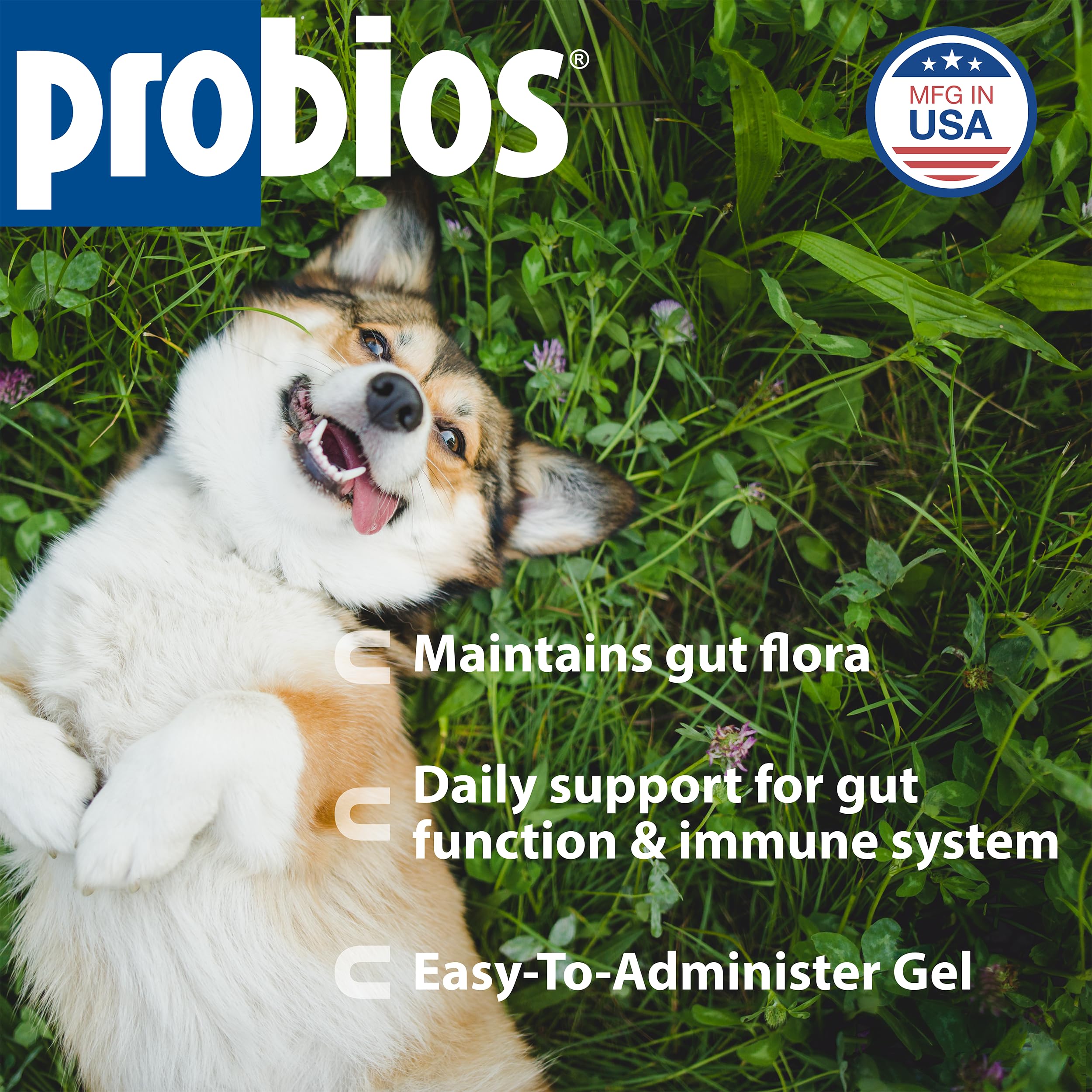 Probios Probiocin seringue graduée avec marquages pour dosage précis