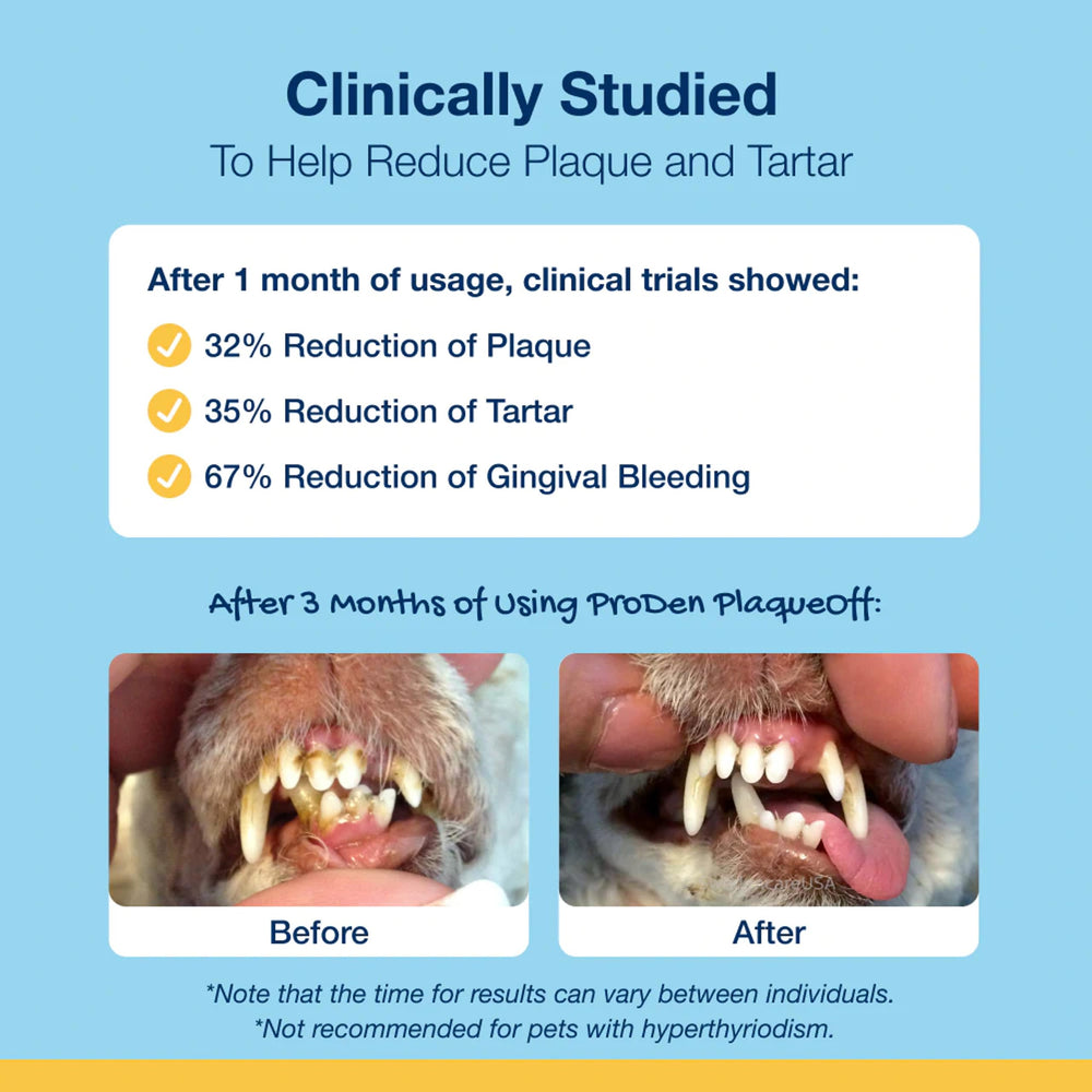 ProDen Mini Dental Bones chiot mastiquant, favorisant une haleine plus fraîche