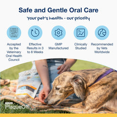 ProDen Mini Dental Bones gros plan sur la texture abrasive aidant au nettoyage dentaire