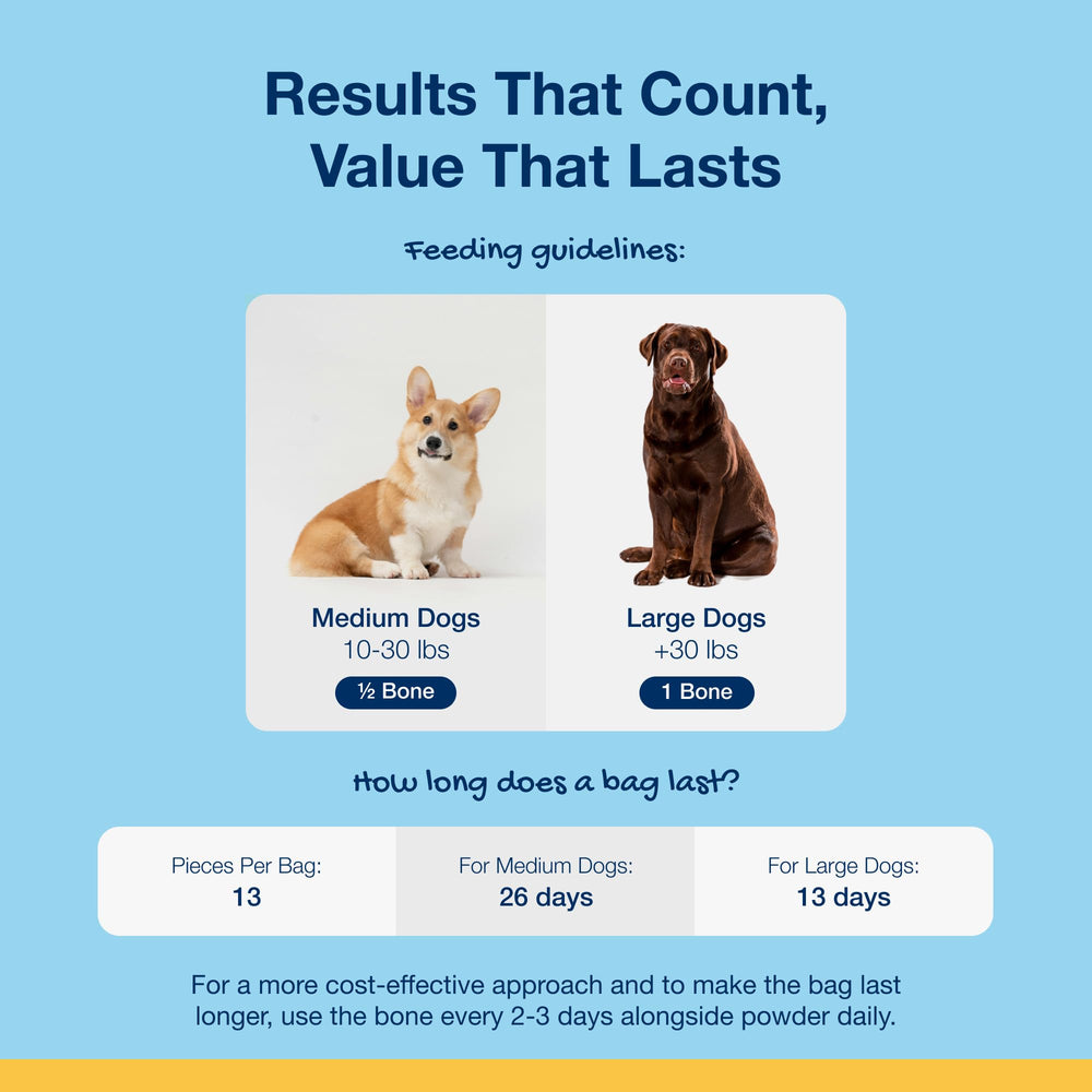 ProDen PlaqueOff chien mâchant friandise montrant stimulation et satisfaction
