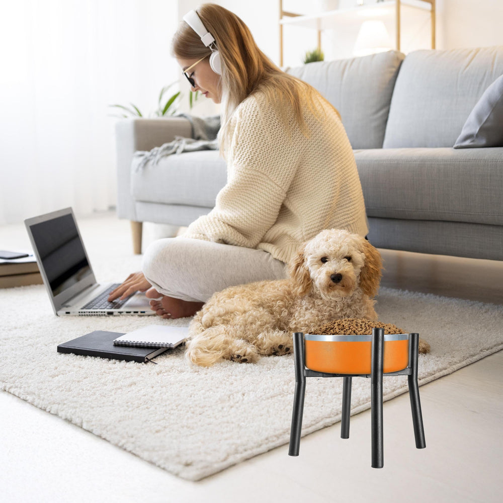 PROERR scène vie quotidienne montrant un chien mangeant confortablement
