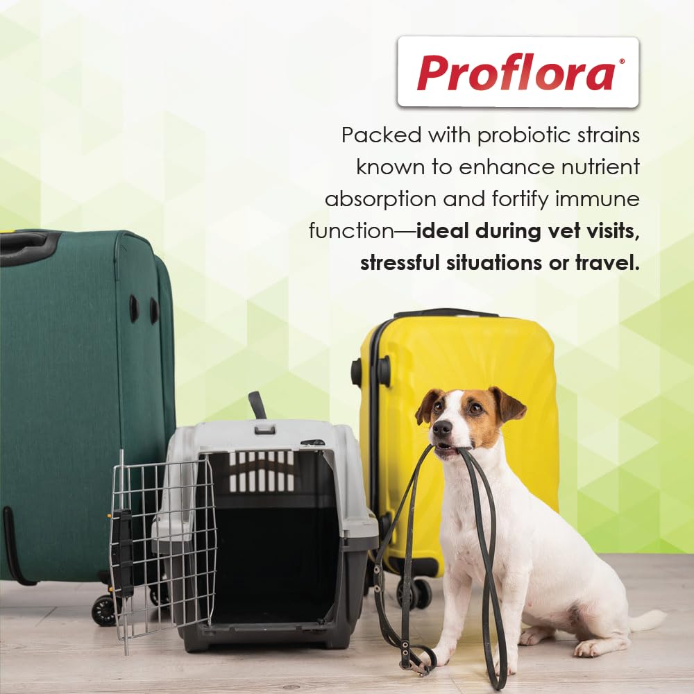 Proflora sachet en main pour comparer taille et facilité d'utilisation