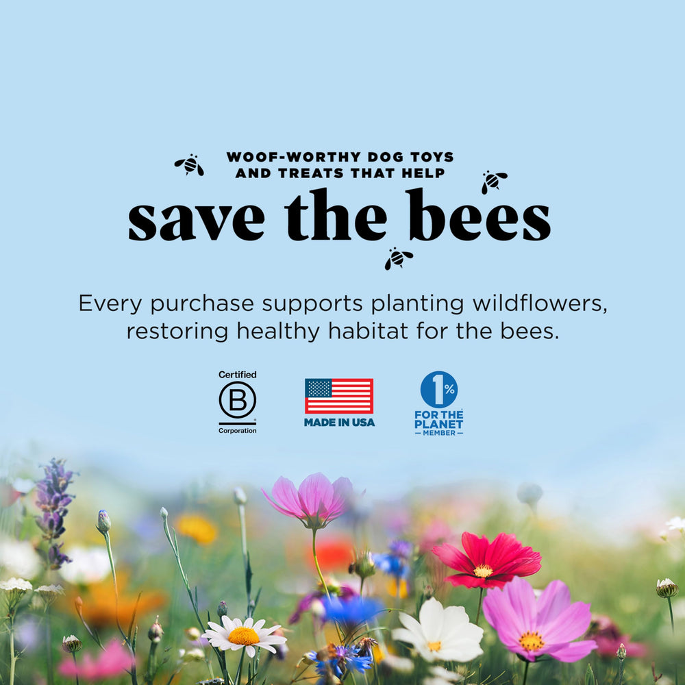 PROJECT HIVE image concept plantation de fleurs sauvages soutenant abeilles et biodiversité