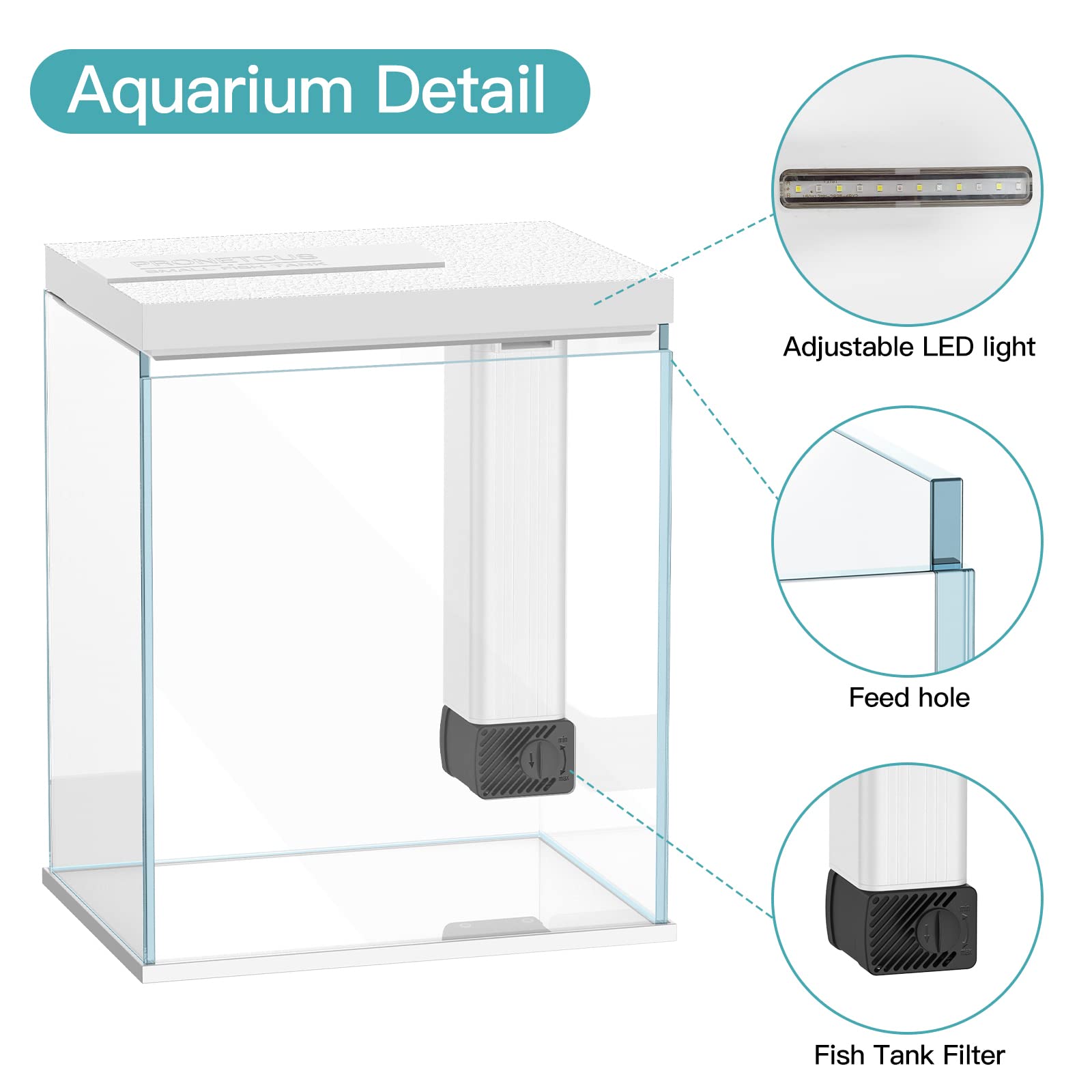 Pronetcus aquarium en situation sur bureau apportant ambiance décorative