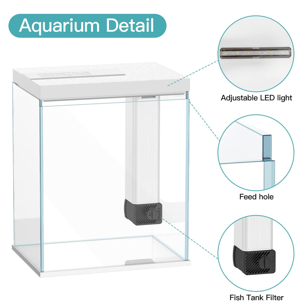 Pronetcus aquarium en situation sur bureau apportant ambiance décorative