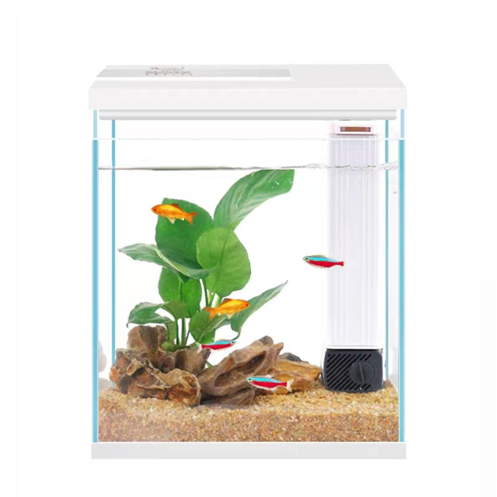 Pronetcus aquarium 2 gallons face entière montrant design et clarté