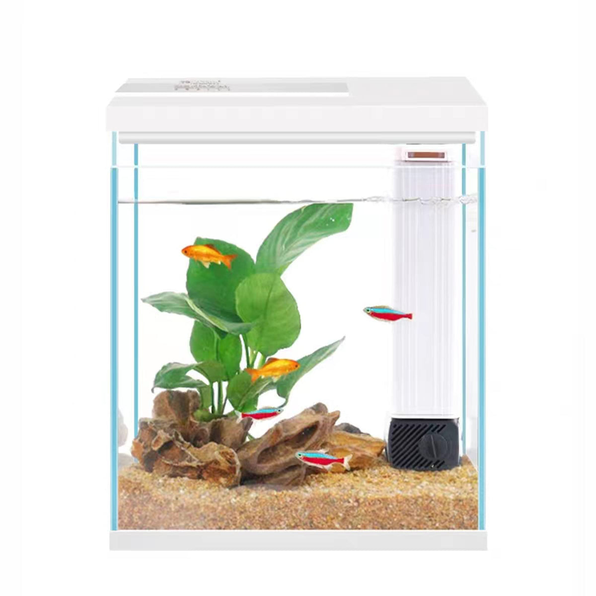 Pronetcus aquarium 2 gallons face entière montrant design et clarté
