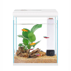 Pronetcus aquarium 2 gallons face entière montrant design et clarté