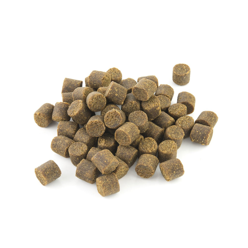 ProSense chien prenant masticable après repas pour meilleure acceptation