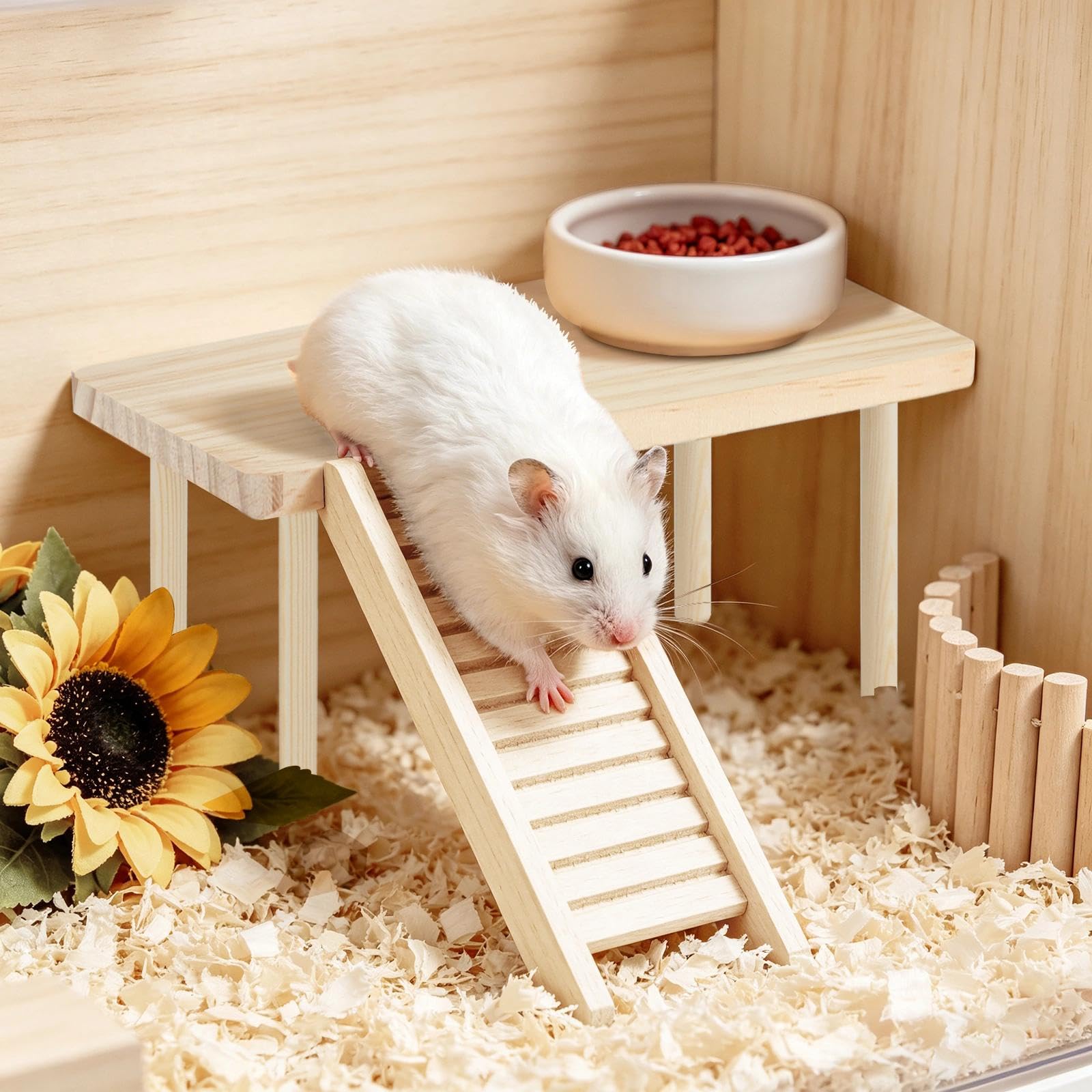 Prospura plate-forme utilisée par un hamster pour jouer
