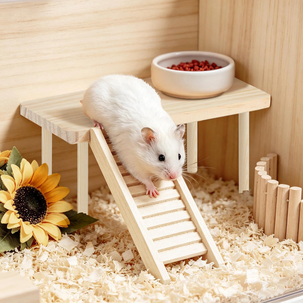 Prospura plate-forme utilisée par un hamster pour jouer
