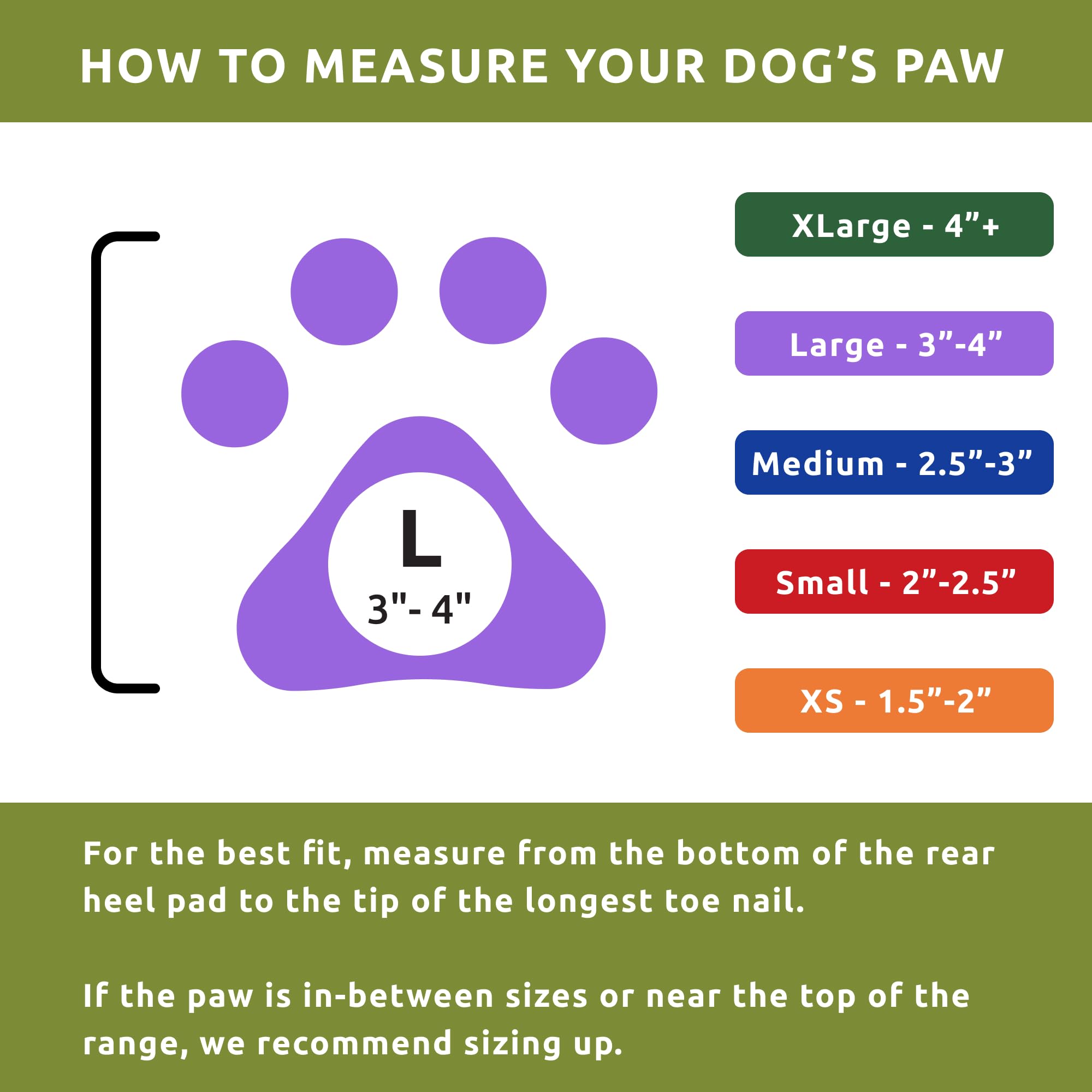Protex PawZ comparaison taille avec main utile pour choisir la taille