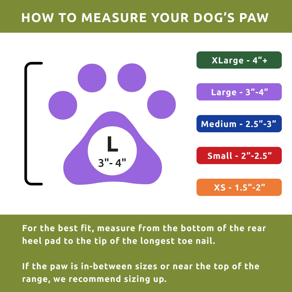 Protex PawZ comparaison taille avec main utile pour choisir la taille