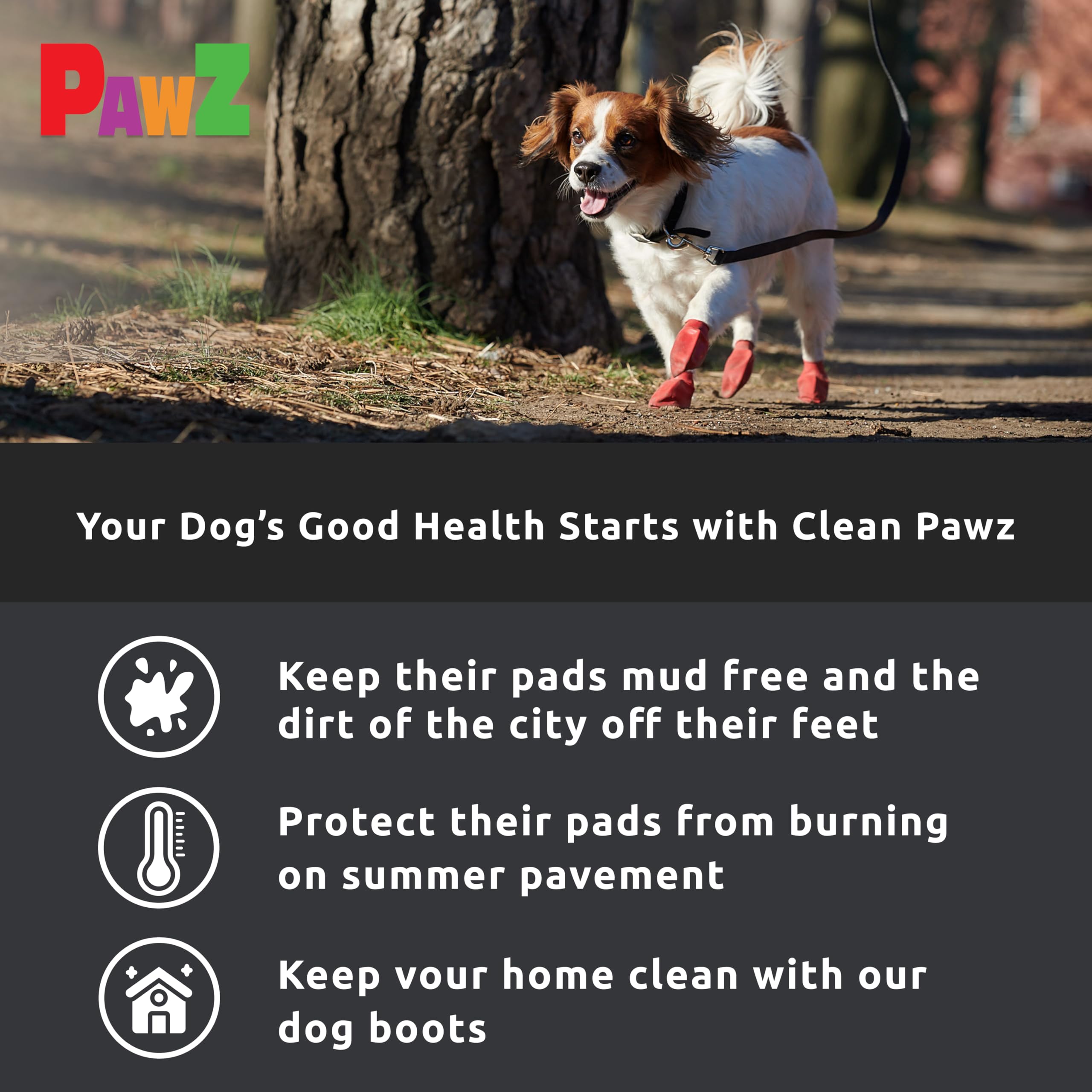 Protex PawZ comparaison taille indiquant ajustement pour petites pattes