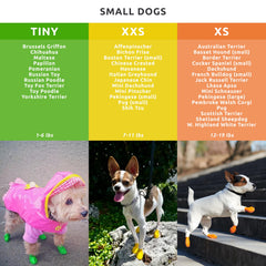 Protex PawZ comparaison taille à côté d'une patte pour choix adapté