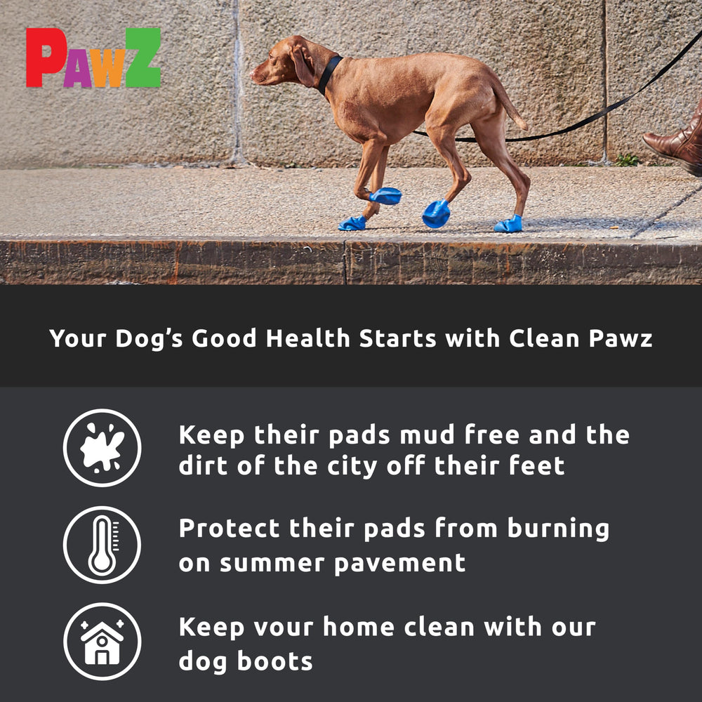 Protex PawZ comparaison taille montrant patte mesurée pour choix medium