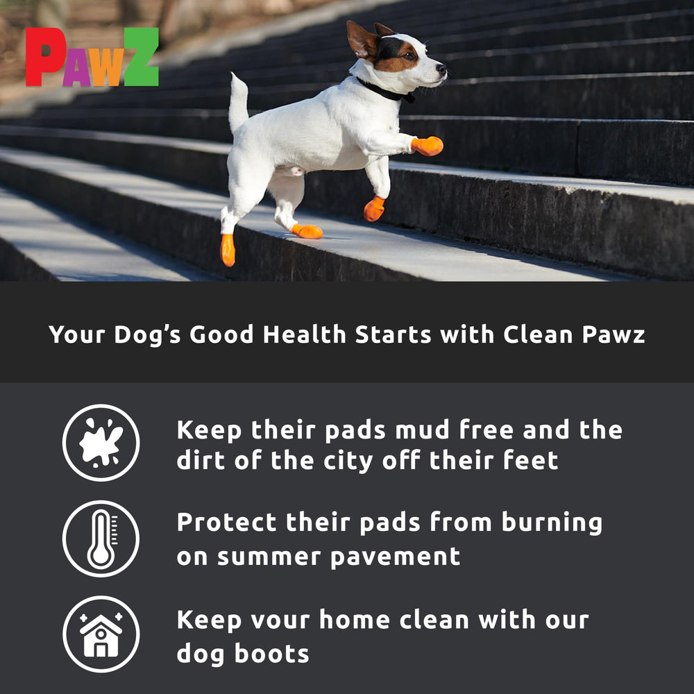 Protex PawZ comparaison de taille montrant comment mesurer la patte facilement