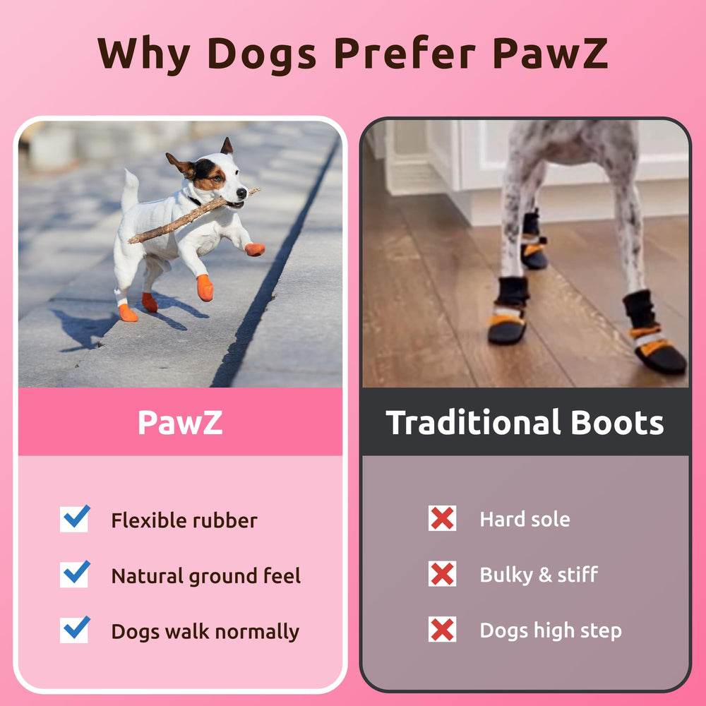Protex PawZ pack de 12 bottines dans une main, assortiment prêt à l’emploi