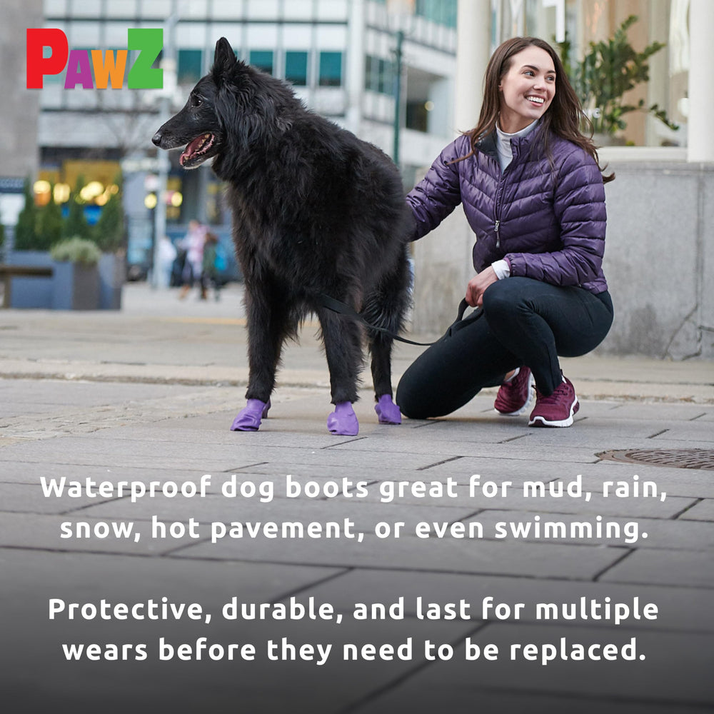Protex PawZ mise en situation urbaine protégeant les pattes sur goudron
