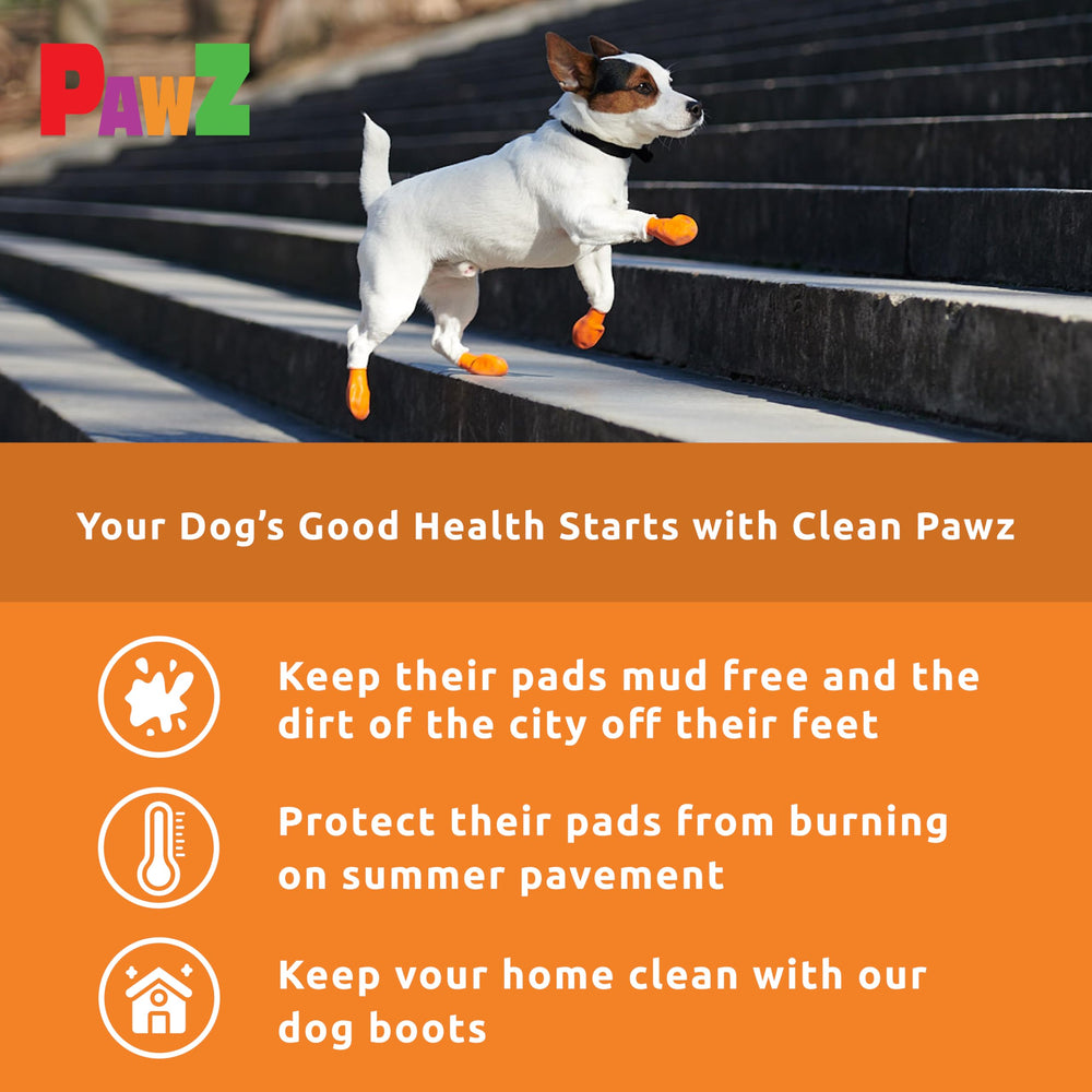 Protex PawZ pack de 12 posé prêt à remplacer ou partager