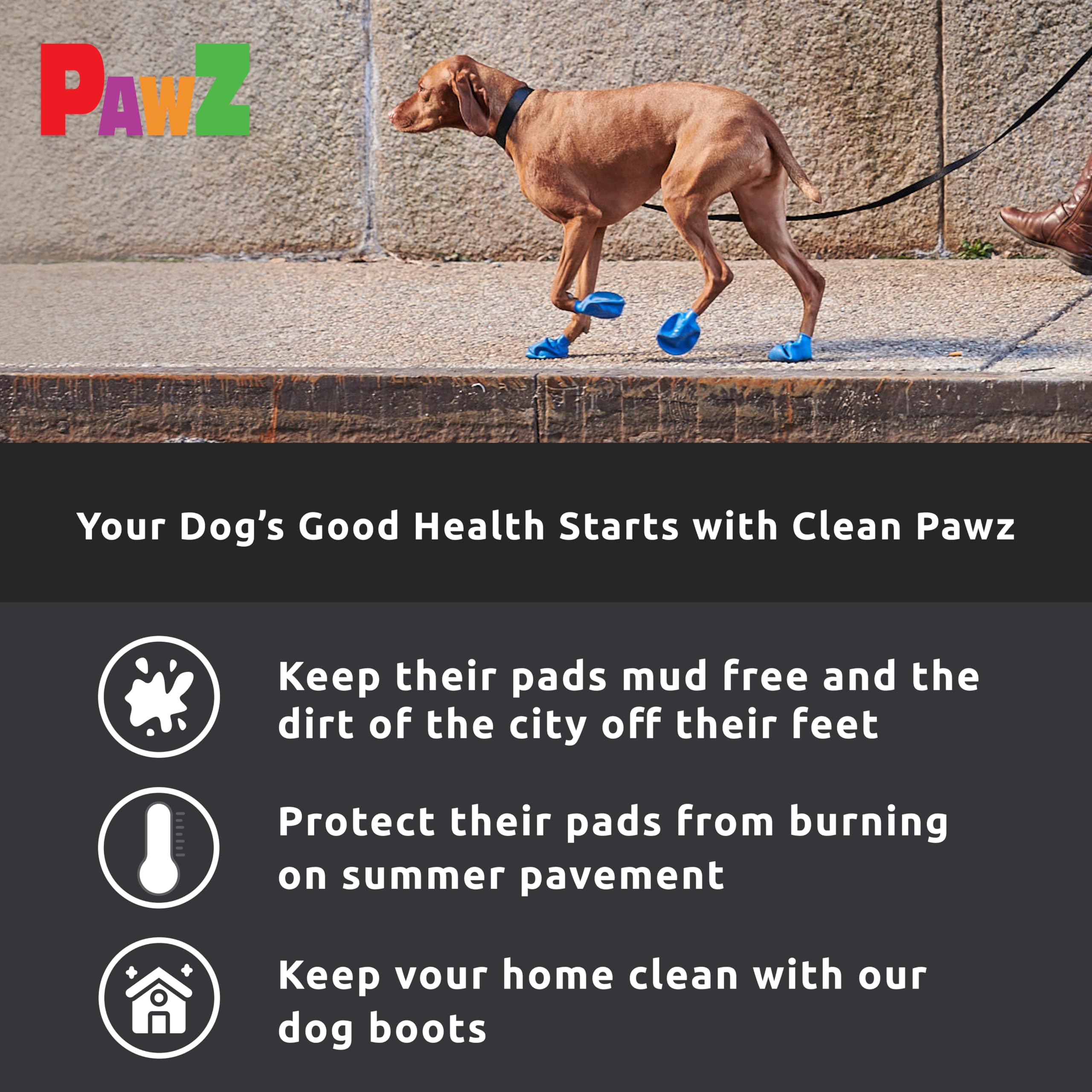 Protex PawZ patte dans la boue et l'eau montrant protection étanche efficace