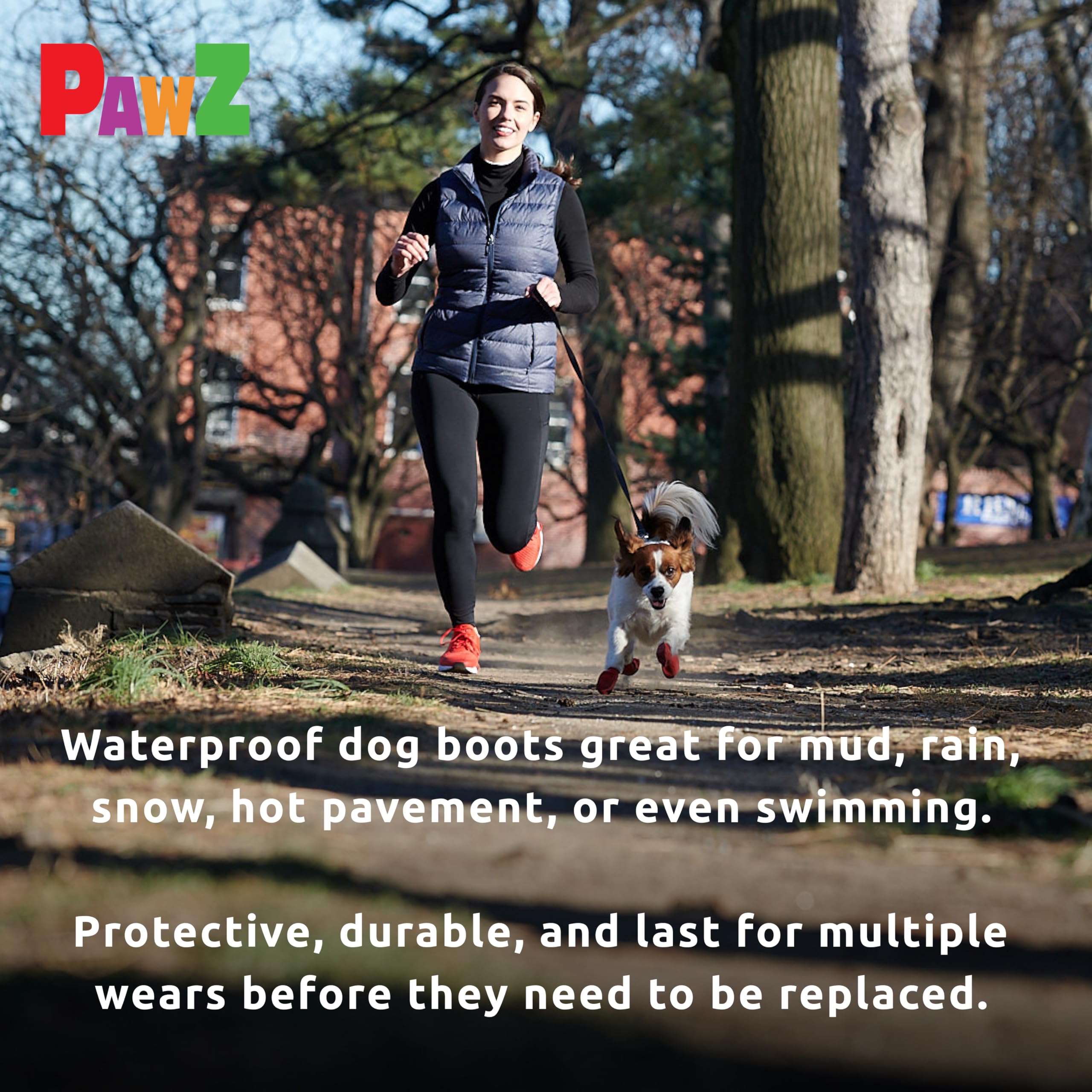 Protex PawZ chien en promenade sur trottoir protégeant coussinets