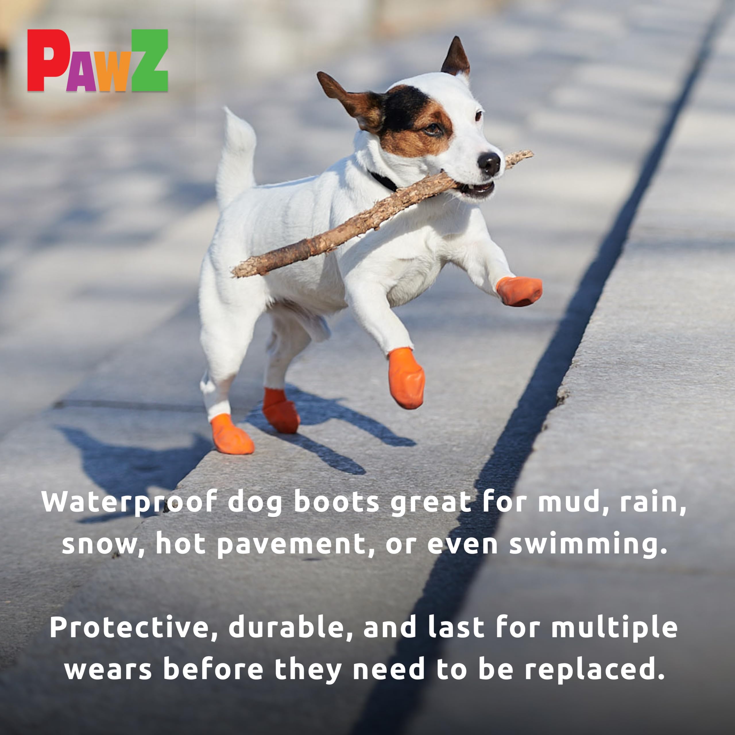 Protex PawZ chien en promenade urbaine protégé contre bitume chaud