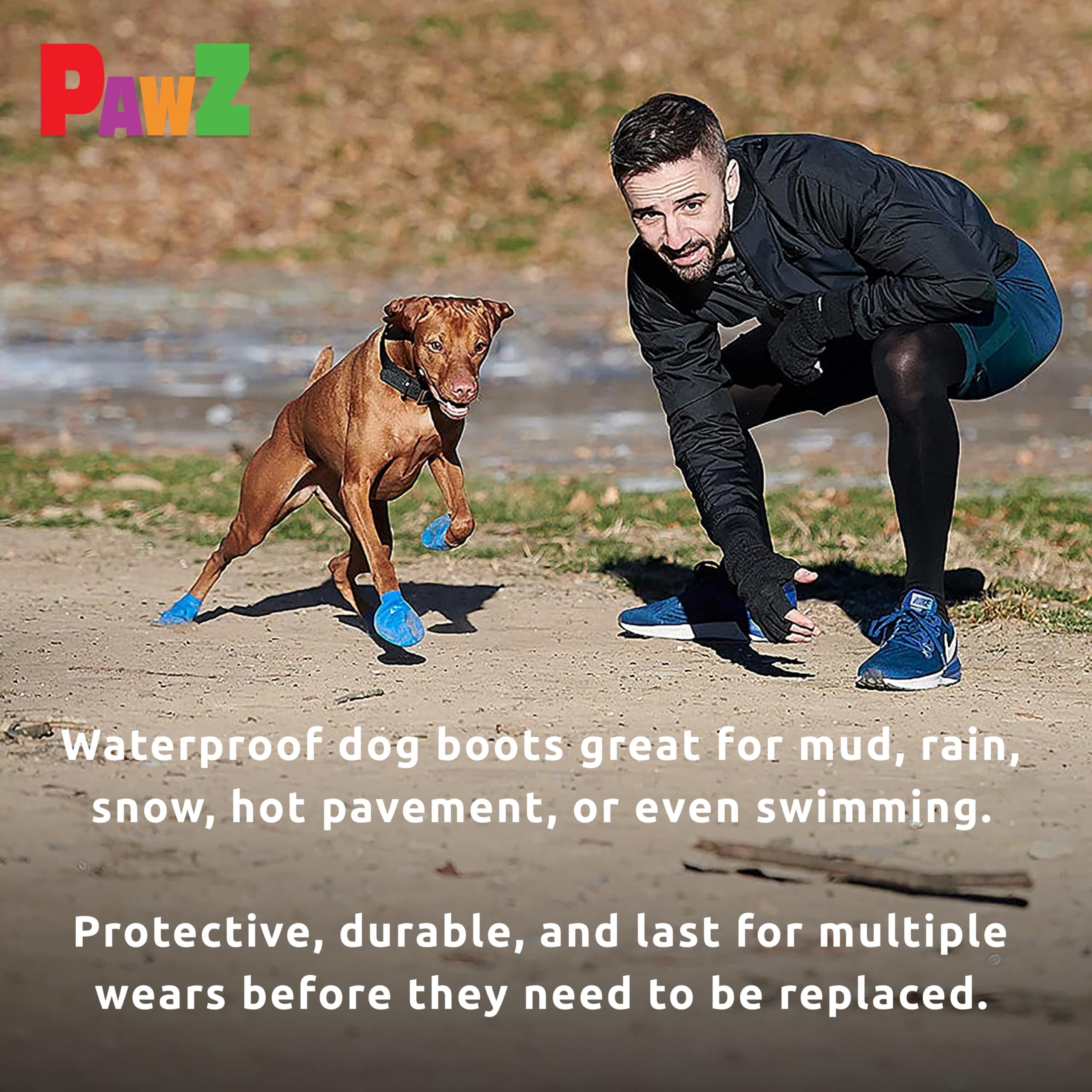 Protex PawZ scène de promenade urbaine montrant sécurité sur trottoir chaud