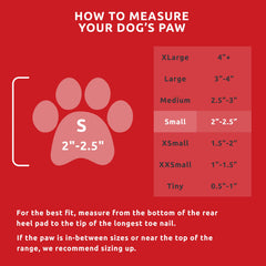 Protex PawZ chaussure sur patte assurant confort et mobilité