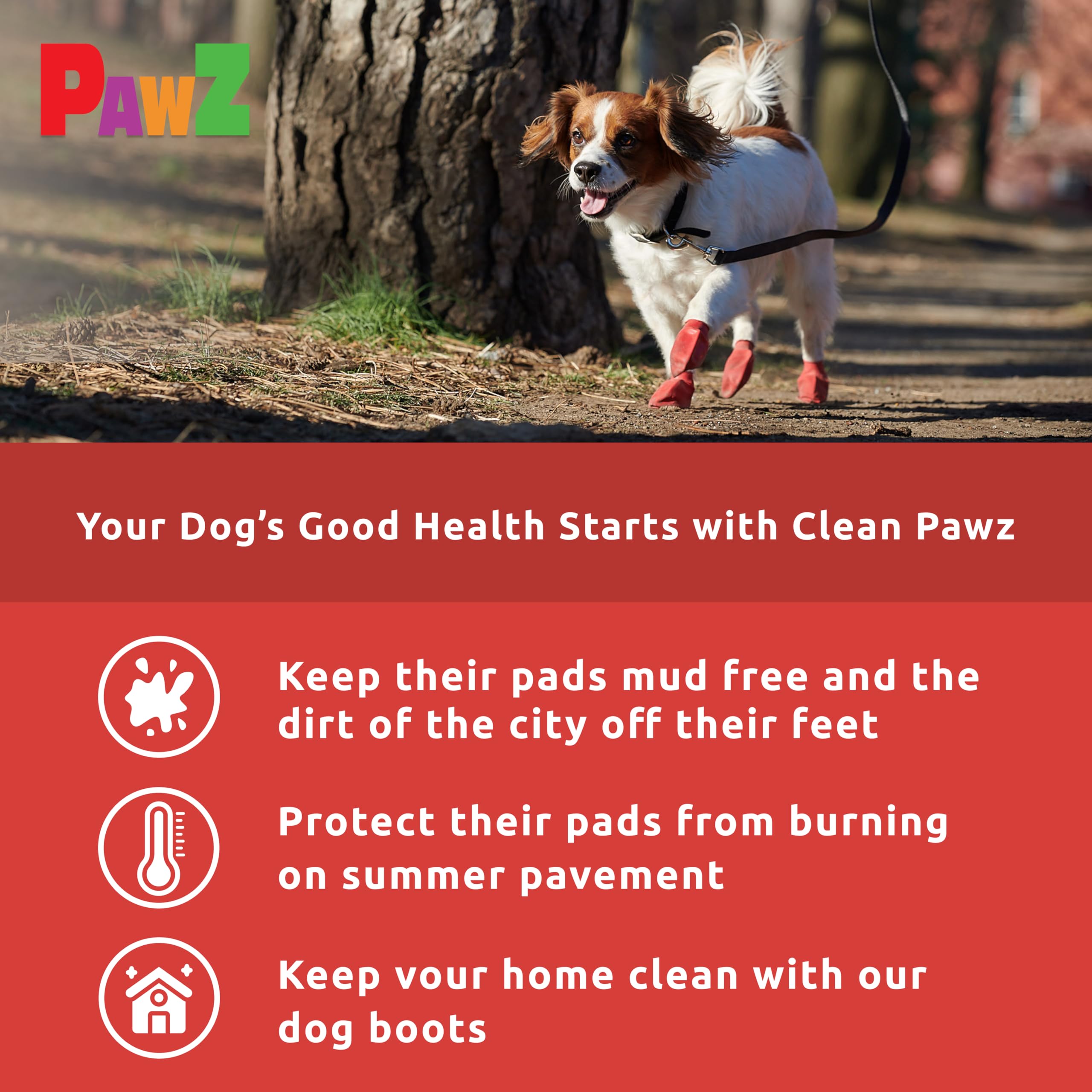 Protex PawZ tableau de tailles aidant à choisir le bon ajustement