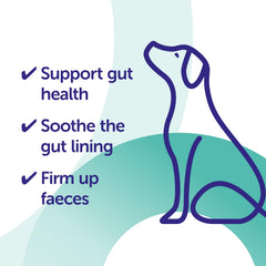 Protexin Veterinary gros plan sur la texture de la pâte, visuel prouvant onctuosité et acceptation