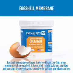 Prymal Pets poudre saupoudrée sur croquettes améliore acceptation alimentaire
