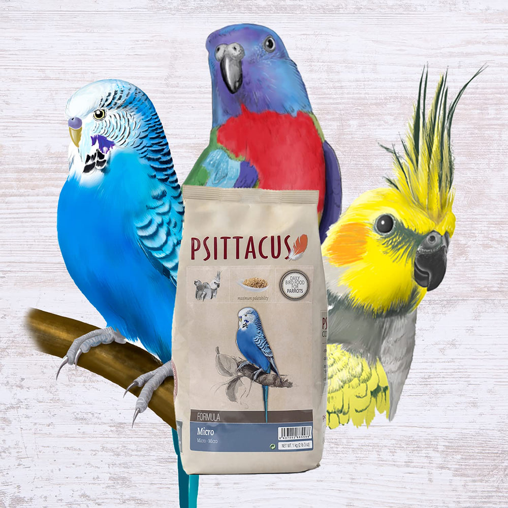 Psittacus oiseau mangeant les granulés mettant en évidence acceptation