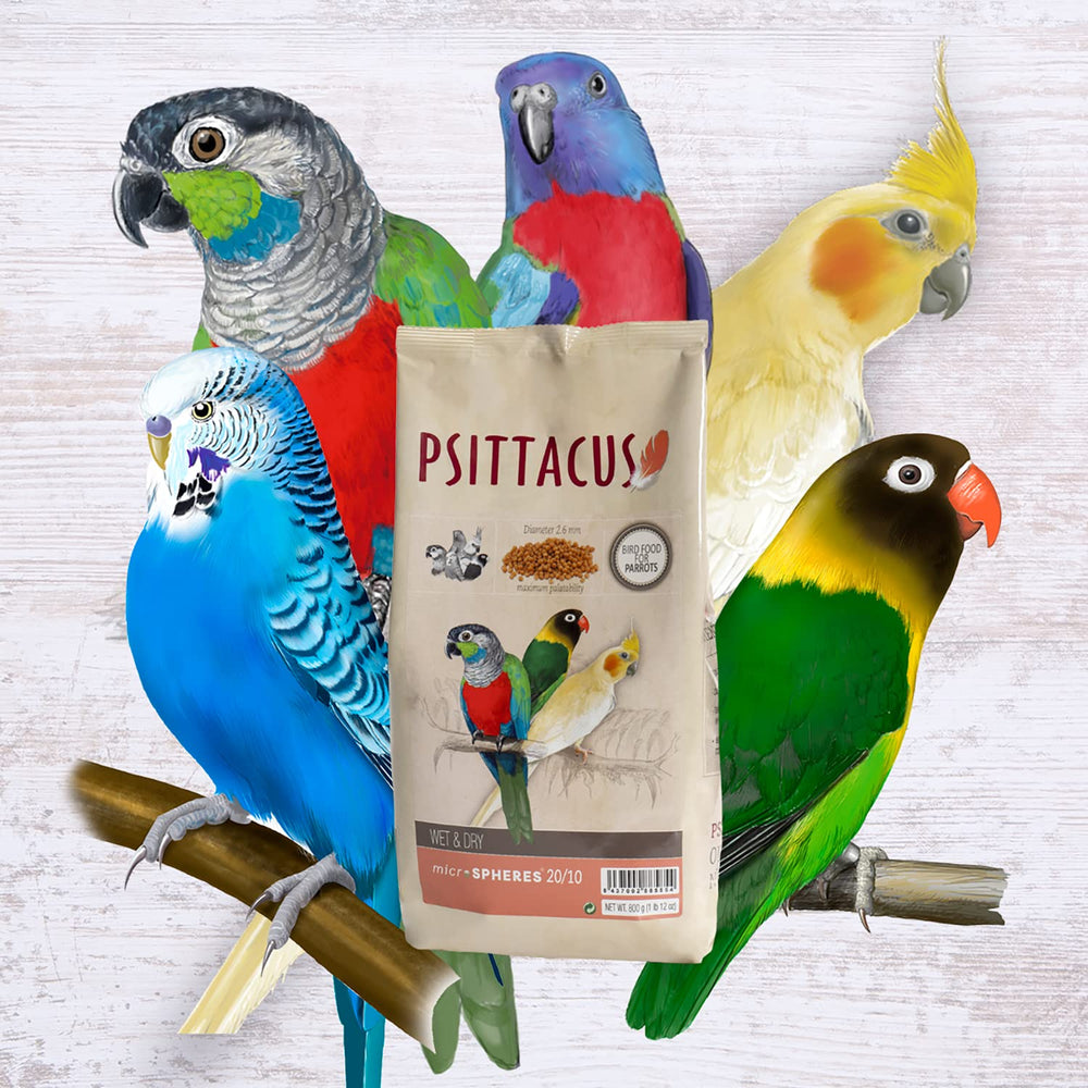 Granulés Psittacus après hydratation illustrant préparation rapide et moelleuse
