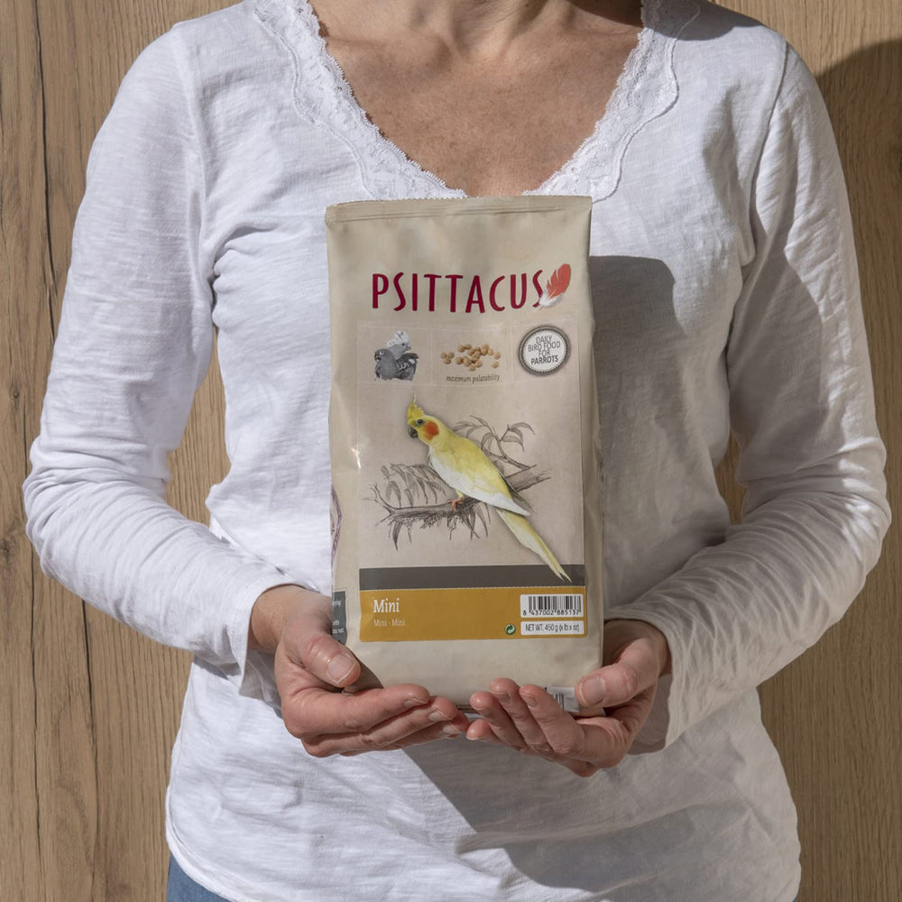 Conure mangeant Psittacus Mini, bénéfice appétence pour l'oiseau
