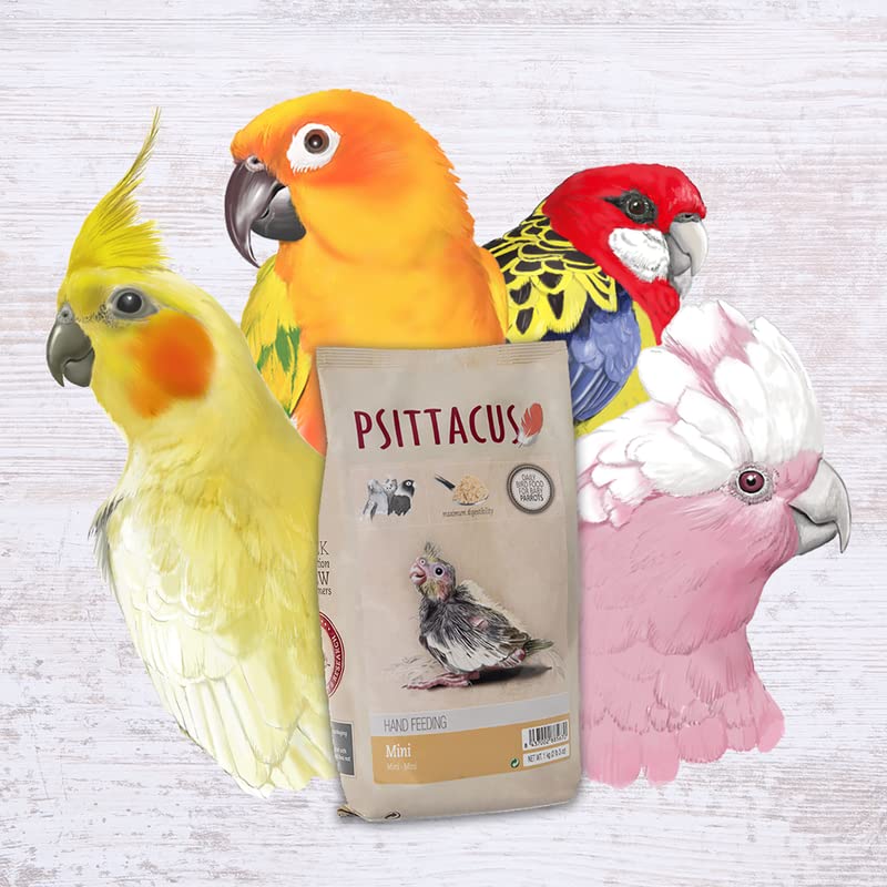 Psittacus poudre en gros plan illustrant texture homogène et facilité de mélange