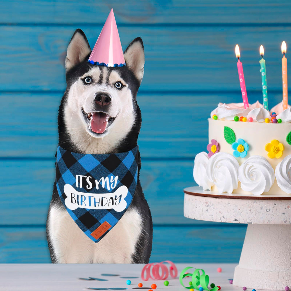 PTDECOR gros plan imprimé « it's my birthday » pour photo souvenir
