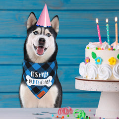 PTDECOR gros plan imprimé « it's my birthday » pour photo souvenir