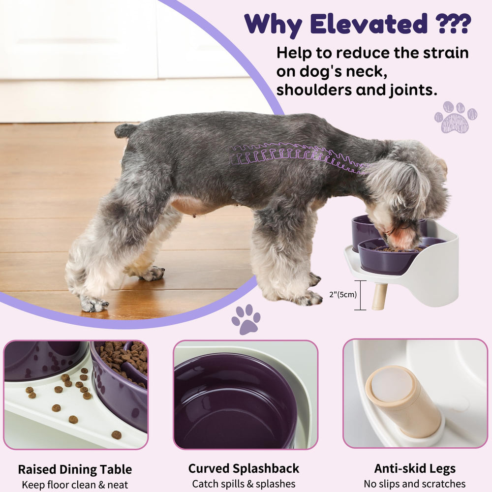 PTOBER gamelle en usage avec chien mangeant lentement pour meilleure digestion