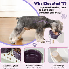 PTOBER gamelle en usage avec chien mangeant lentement pour meilleure digestion