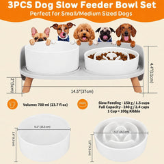 PTOBER bol en usage par chien, ralentit alimentation et amuse