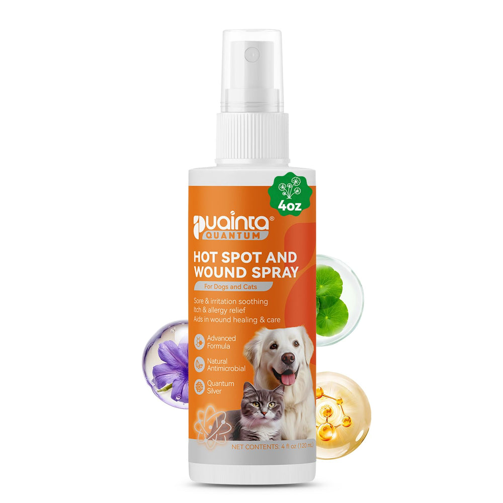 PUAINTA spray face et dos de l’emballage montrant usage sûr