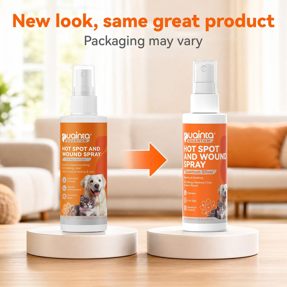 PUAINTA spray posé dans un salon montrant usage quotidien pratique