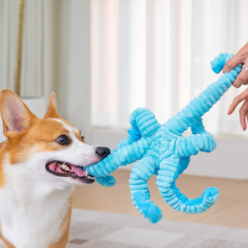 Pubialo comparaison taille montre proportions pour chiots et grands chiens