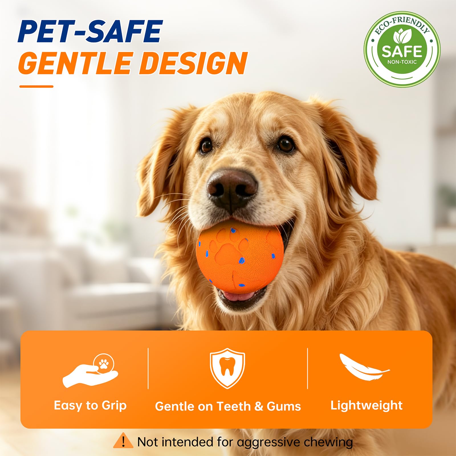 Chien avec PUKACO jouant, moment d'activité pour exercice et stimulation mentale