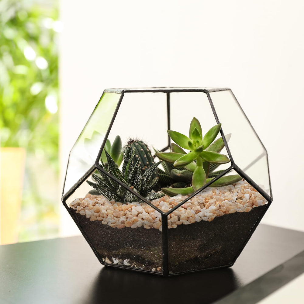 Pulovin couches decorées vase offrant contraste visuel durable