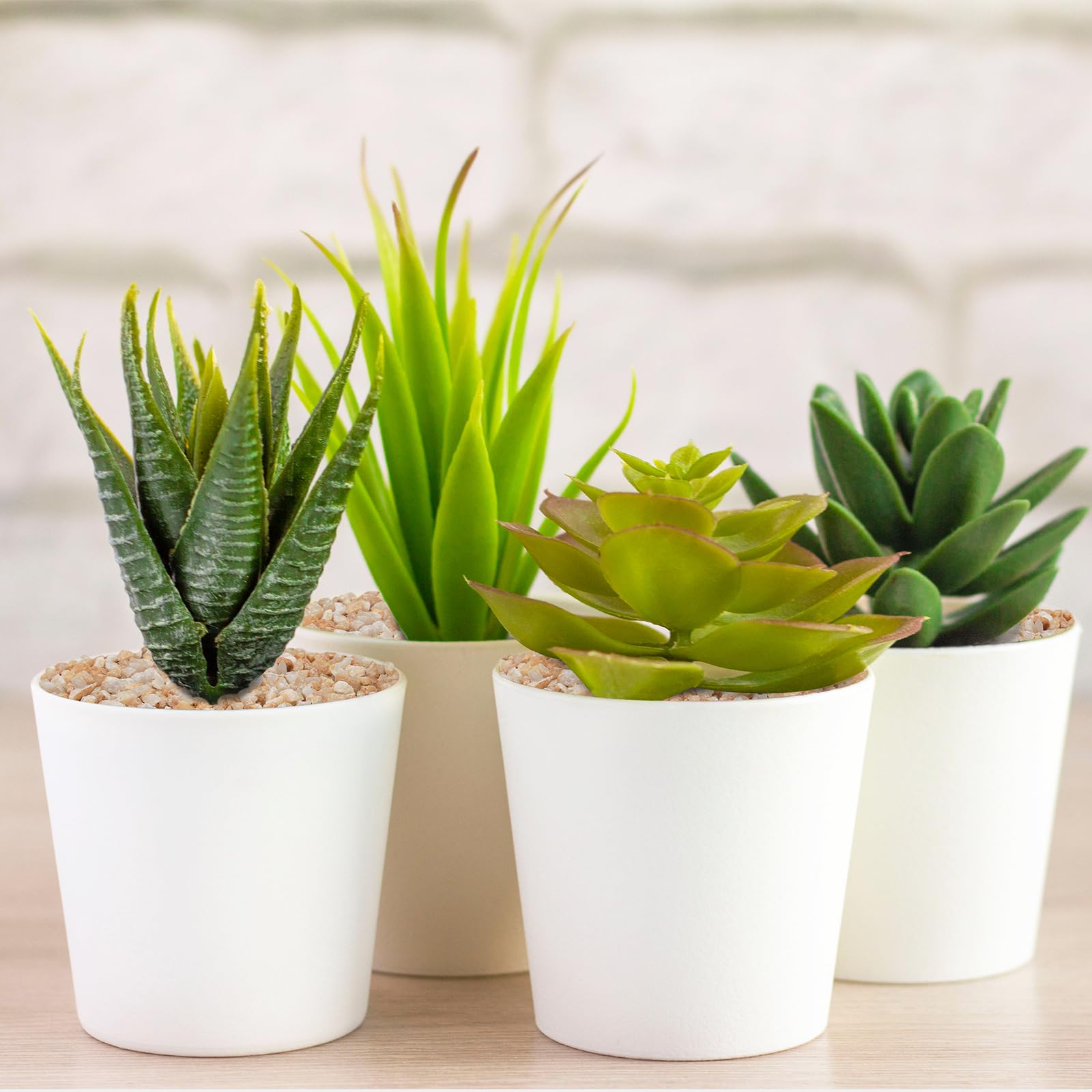 Pulovin dans aquarium planté clarifiant substrat et décors